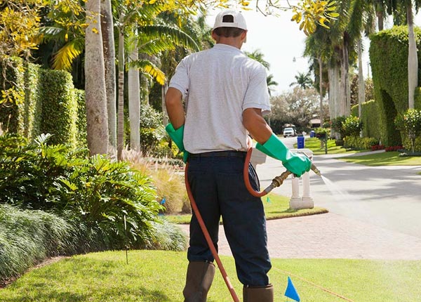 About West Jefferson NC Pest Control